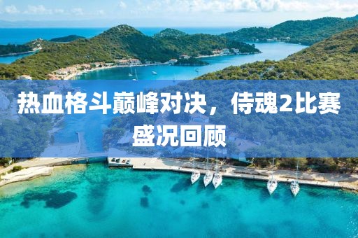 熱血格斗巔峰對(duì)決，侍魂2比賽盛況回顧