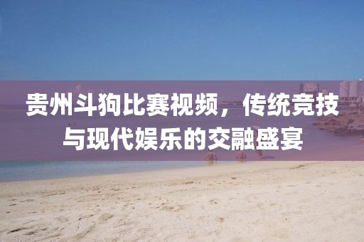 貴州斗狗比賽視頻，傳統(tǒng)競技與現(xiàn)代娛樂的交融盛宴