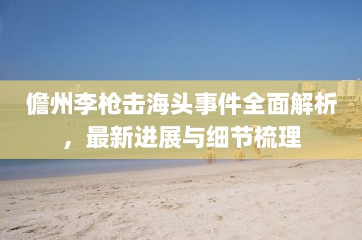 儋州李槍擊海頭事件全面解析，最新進(jìn)展與細(xì)節(jié)梳理