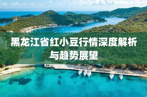 黑龍江省紅小豆行情深度解析與趨勢(shì)展望