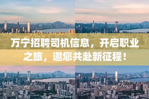 萬寧招聘司機(jī)信息，開啟職業(yè)之旅，邀您共赴新征程！