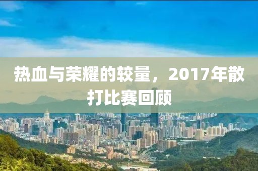 熱血與榮耀的較量，2017年散打比賽回顧