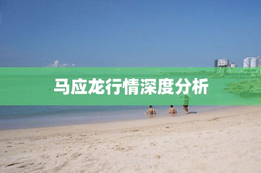 馬應(yīng)龍行情深度分析