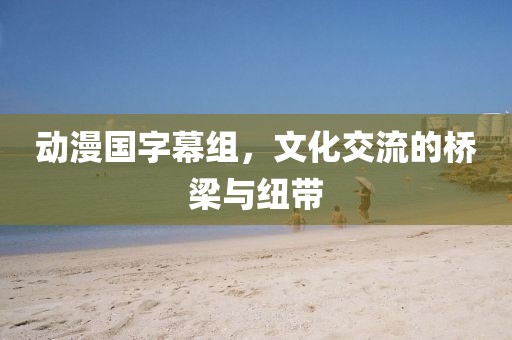 動(dòng)漫國(guó)字幕組，文化交流的橋梁與紐帶