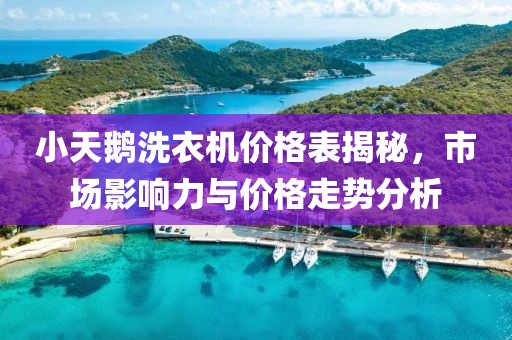 小天鵝洗衣機價格表揭秘，市場影響力與價格走勢分析
