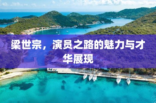 梁世宗，演員之路的魅力與才華展現(xiàn)