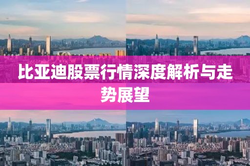 比亞迪股票行情深度解析與走勢展望