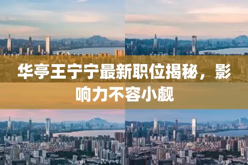 華亭王寧寧最新職位揭秘，影響力不容小覷