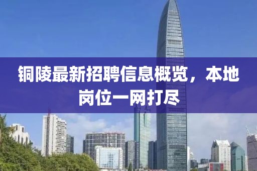 銅陵最新招聘信息概覽，本地崗位一網(wǎng)打盡