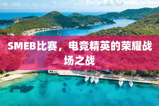 SMEB比賽，電競(jìng)精英的榮耀戰(zhàn)場(chǎng)之戰(zhàn)