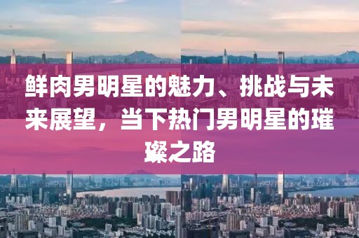 鮮肉男明星的魅力、挑戰(zhàn)與未來展望，當(dāng)下熱門男明星的璀璨之路