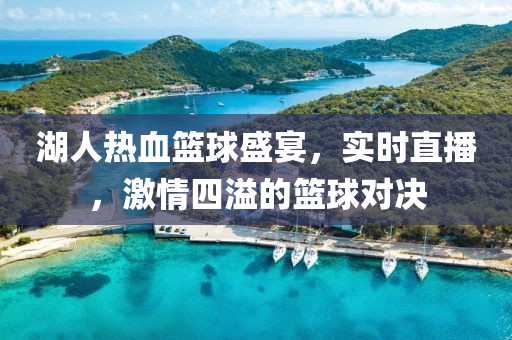 湖人熱血籃球盛宴，實(shí)時(shí)直播，激情四溢的籃球?qū)Q