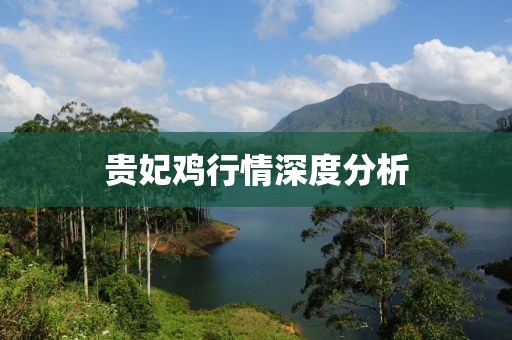 貴妃雞行情深度分析