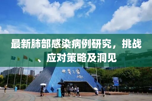 最新肺部感染病例研究，挑戰(zhàn)、應(yīng)對策略及洞見