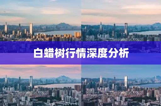 白蠟樹行情深度分析