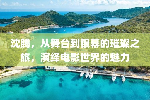 沈騰，從舞臺到銀幕的璀璨之旅，演繹電影世界的魅力