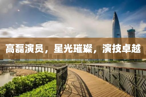 高磊演員，星光璀璨，演技卓越