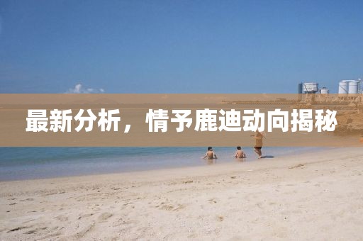 最新分析，情予鹿迪動(dòng)向揭秘