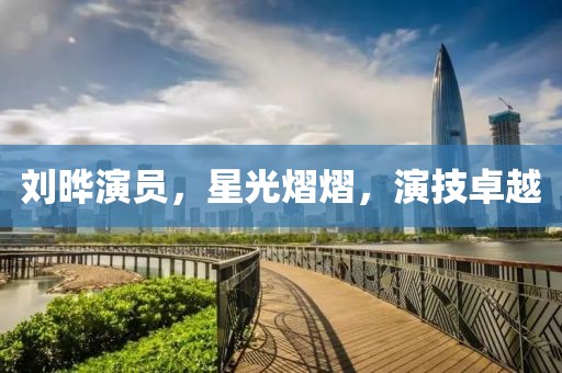 劉曄演員，星光熠熠，演技卓越