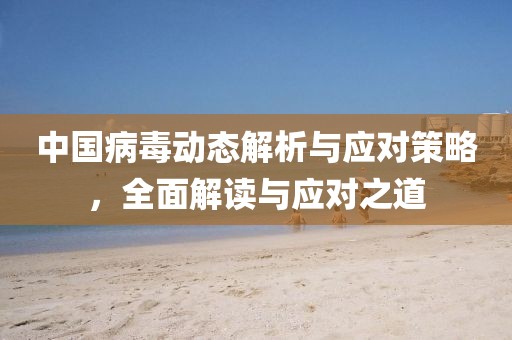中國病毒動(dòng)態(tài)解析與應(yīng)對策略，全面解讀與應(yīng)對之道