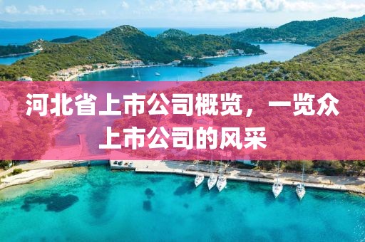 河北省上市公司概覽，一覽眾上市公司的風(fēng)采