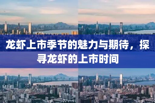 龍蝦上市季節(jié)的魅力與期待，探尋龍蝦的上市時間