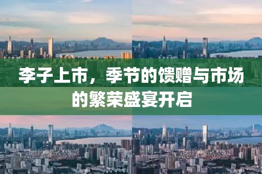 李子上市，季節(jié)的饋贈與市場的繁榮盛宴開啟