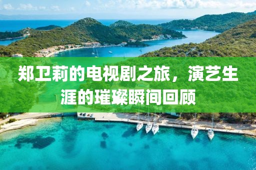 鄭衛(wèi)莉的電視劇之旅，演藝生涯的璀璨瞬間回顧