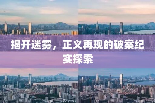 揭開迷霧，正義再現(xiàn)的破案紀(jì)實探索