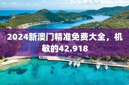 2024新澳門精準免費大全，機敏的42.918
