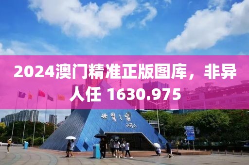 2024澳門精準正版圖庫，非異人任 1630.975