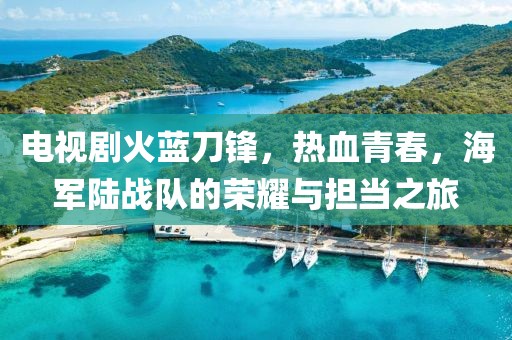 電視劇火藍(lán)刀鋒，熱血青春，海軍陸戰(zhàn)隊的榮耀與擔(dān)當(dāng)之旅