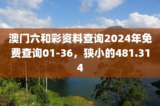 澳門六和彩資料查詢2024年免費查詢01-36，狹小的481.314