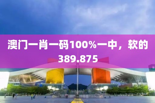 澳門一肖一碼100%一中，軟的389.875