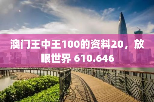 澳門(mén)王中王100的資料20，放眼世界 610.646