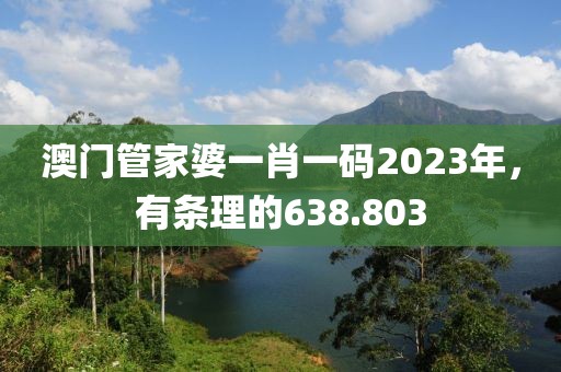 澳門管家婆一肖一碼2023年，有條理的638.803