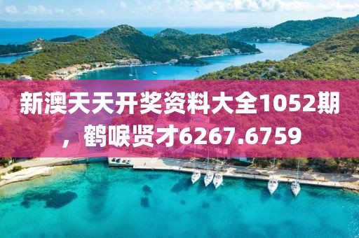 新澳天天開獎資料大全1052期，鶴唳賢才6267.6759