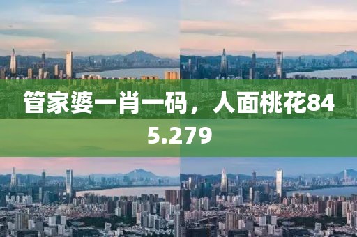 管家婆一肖一碼，人面桃花845.279