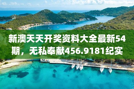 新澳天天開獎資料大全最新54期，無私奉獻(xiàn)456.9181紀(jì)實(shí)