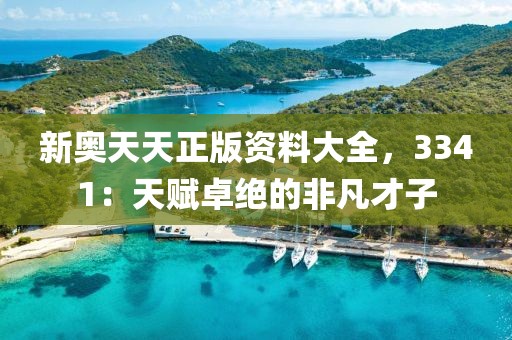 新奧天天正版資料大全，3341：天賦卓絕的非凡才子