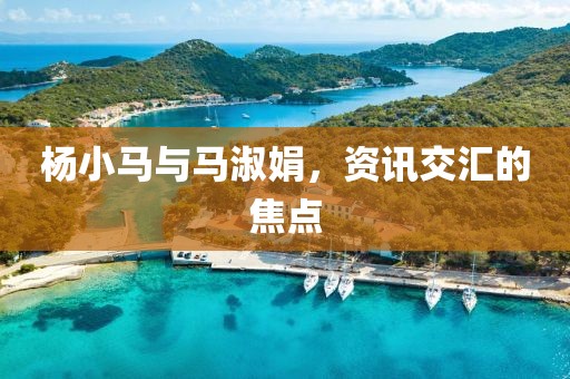 楊小馬與馬淑娟，資訊交匯的焦點(diǎn)