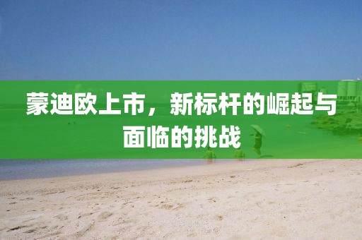 蒙迪歐上市，新標(biāo)桿的崛起與面臨的挑戰(zhàn)