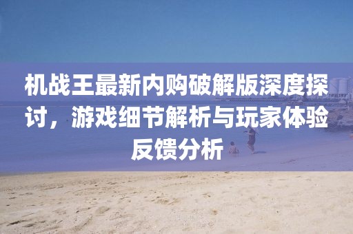 機(jī)戰(zhàn)王最新內(nèi)購破解版深度探討，游戲細(xì)節(jié)解析與玩家體驗(yàn)反饋分析