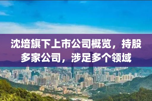 陞香洇染 第13頁