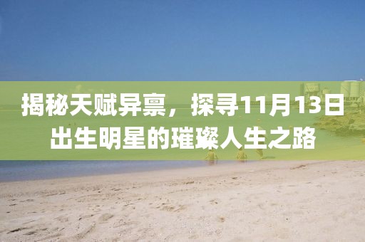 揭秘天賦異稟，探尋11月13日出生明星的璀璨人生之路