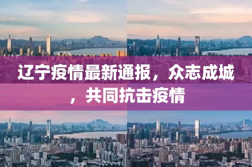 遼寧疫情最新通報，眾志成城，共同抗擊疫情