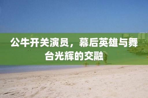 公牛開關(guān)演員，幕后英雄與舞臺光輝的交融