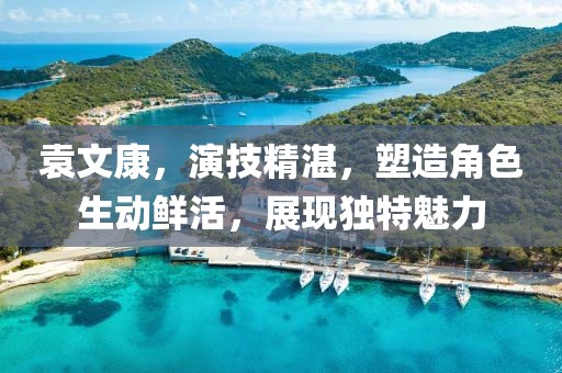 袁文康，演技精湛，塑造角色生動鮮活，展現(xiàn)獨特魅力