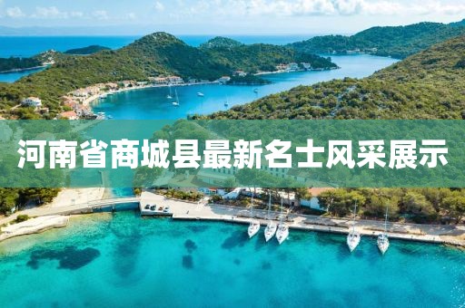 河南省商城縣最新名士風(fēng)采展示
