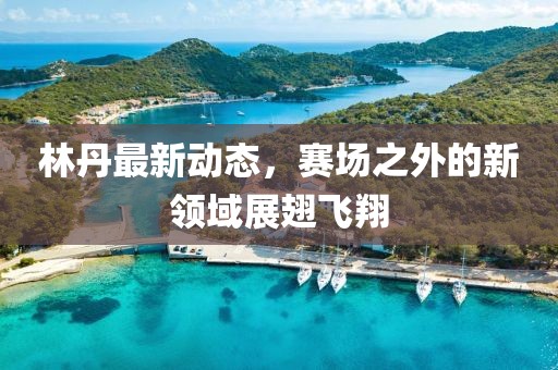 林丹最新動(dòng)態(tài)，賽場(chǎng)之外的新領(lǐng)域展翅飛翔